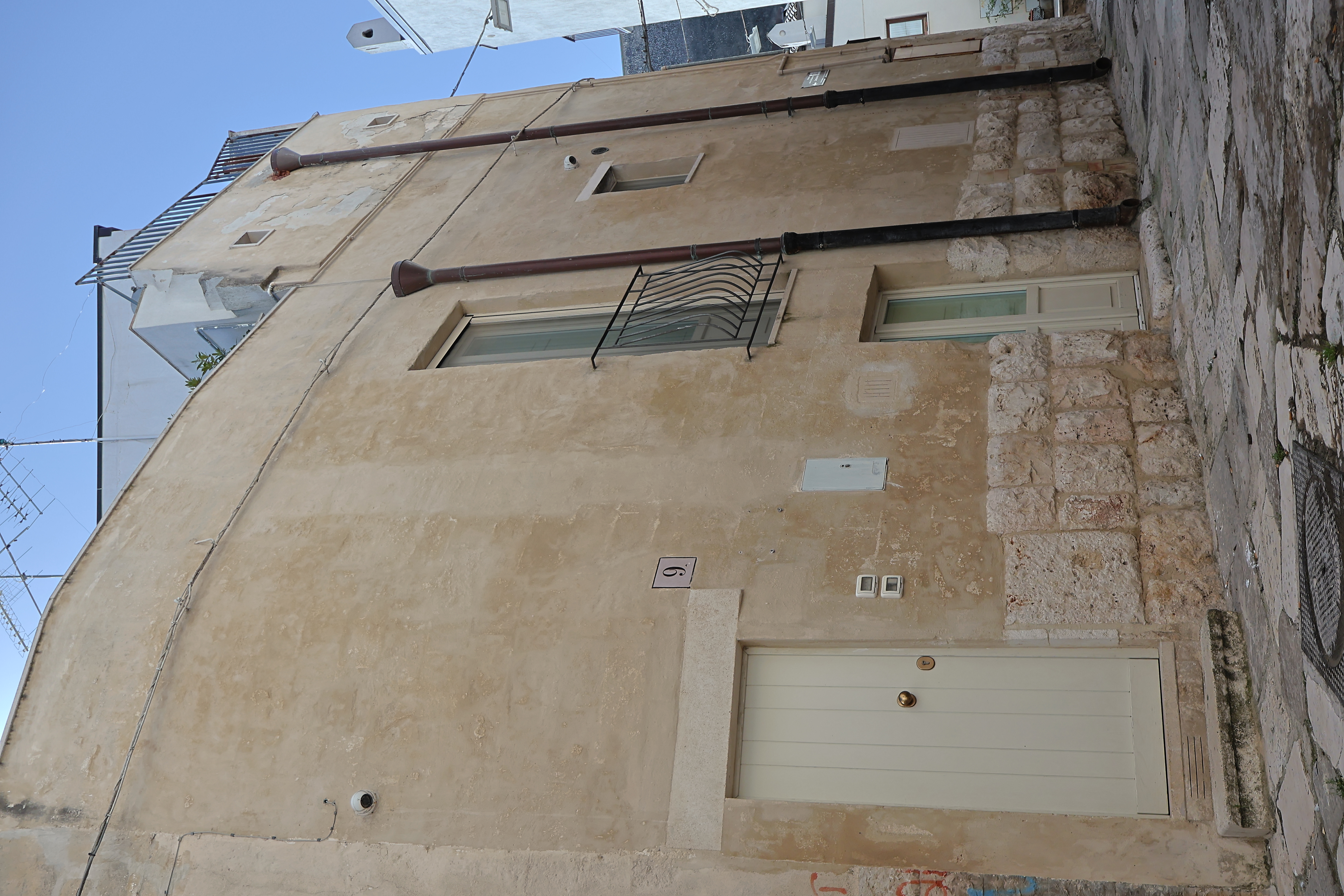 Immagine 3